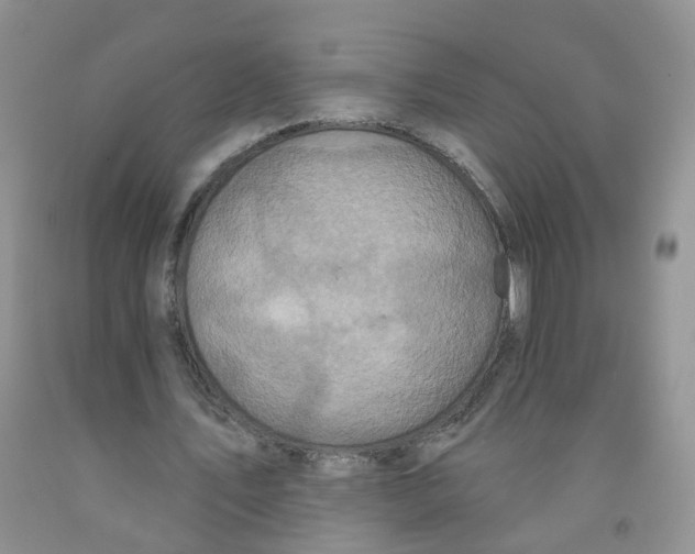 X0000091310579200709071115