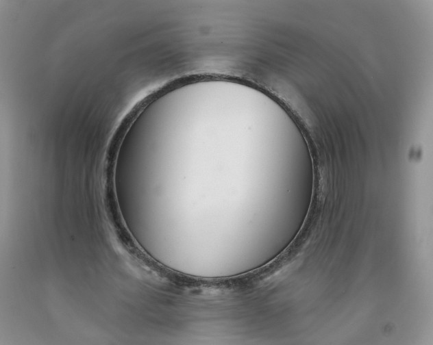 X0000091310580200709071115