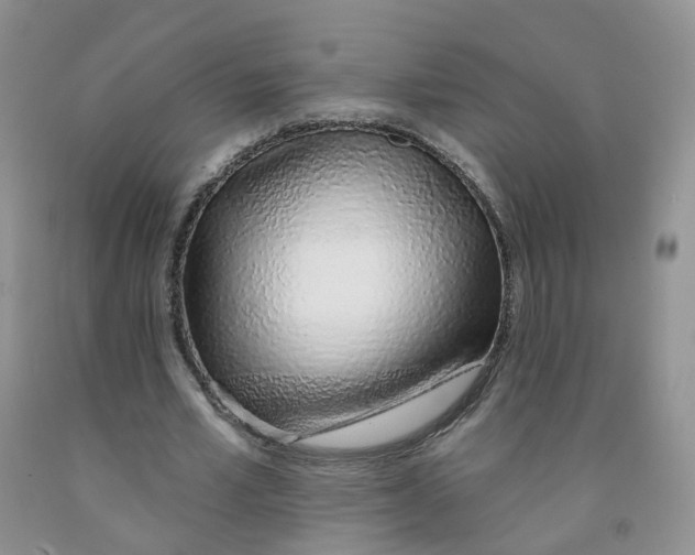 X0000091310581200709071115