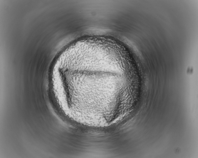 X0000091310582200709071115