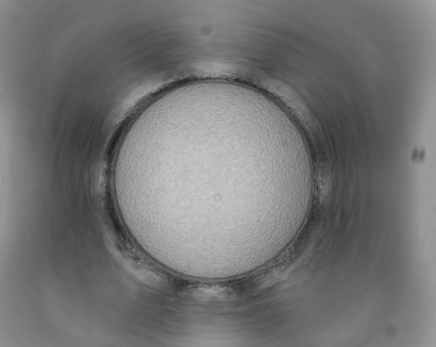 X0000091310583200709071115