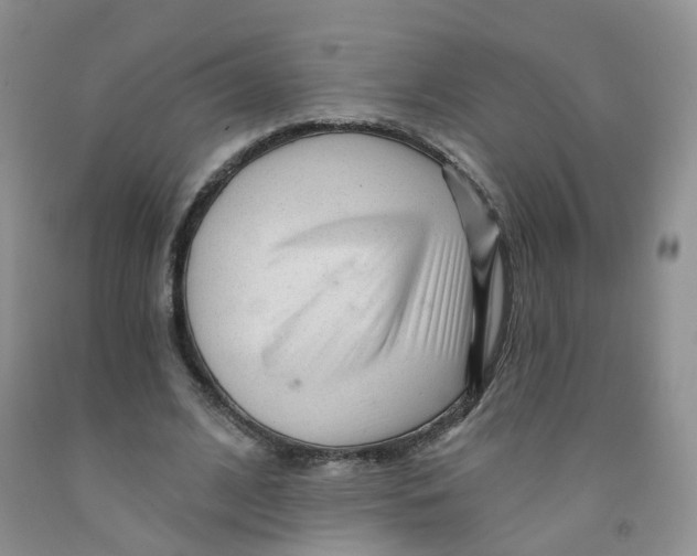 X0000091310584200709071115
