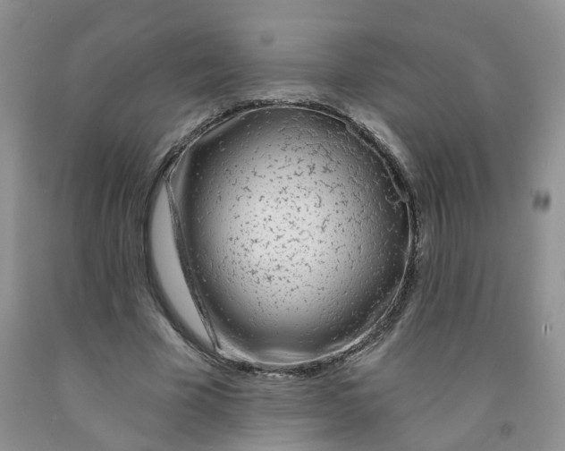 X0000091310585200709071115