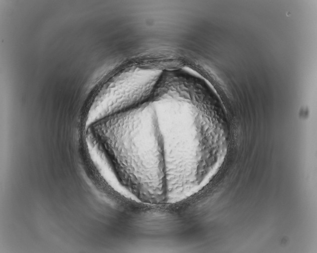 X0000091310586200709071115