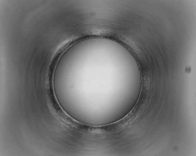 X0000091310587200709071115
