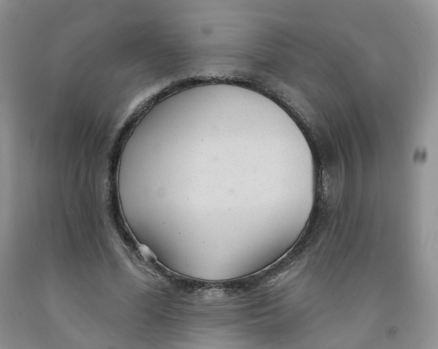 X0000091310588200709071115