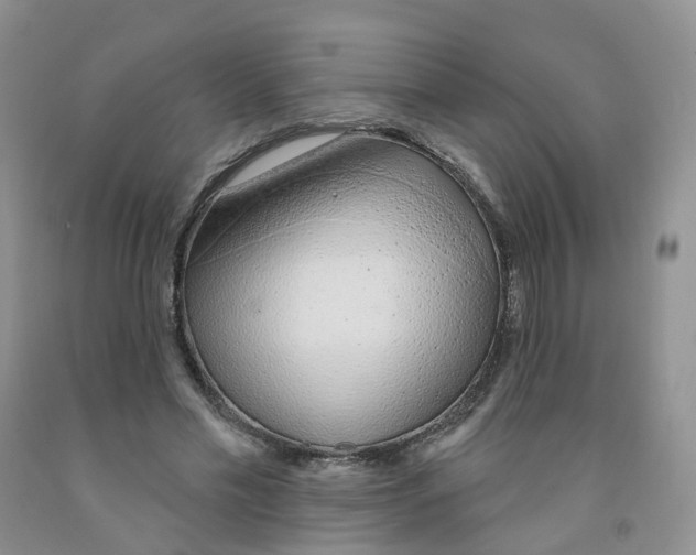 X0000091310589200709071115