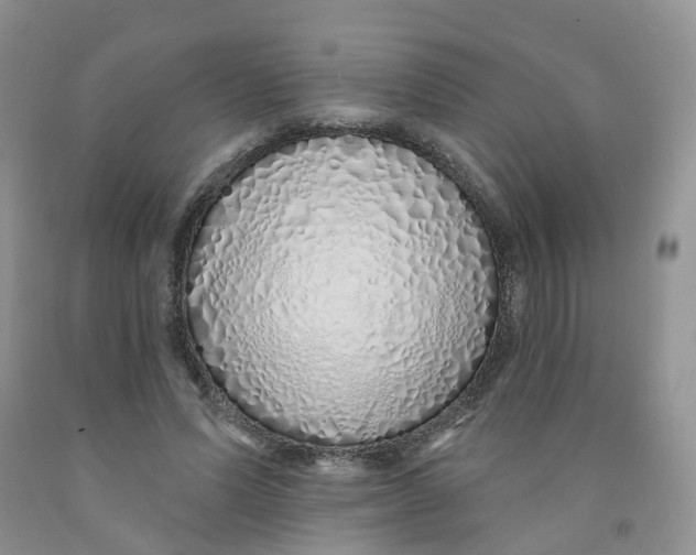 X0000091310591200709071115