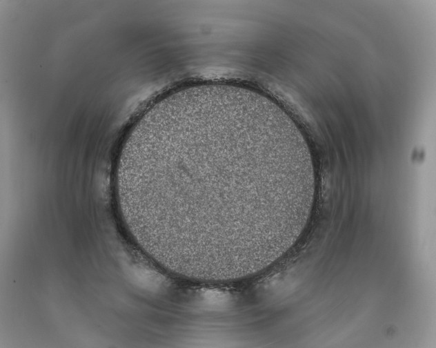 X0000091310592200709071115