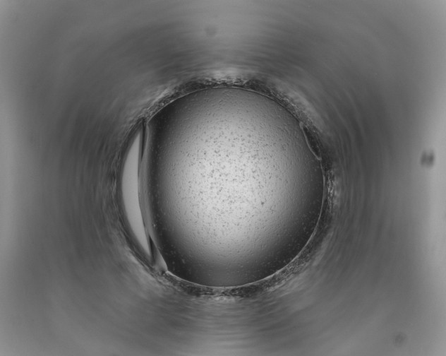 X0000091310593200709071115