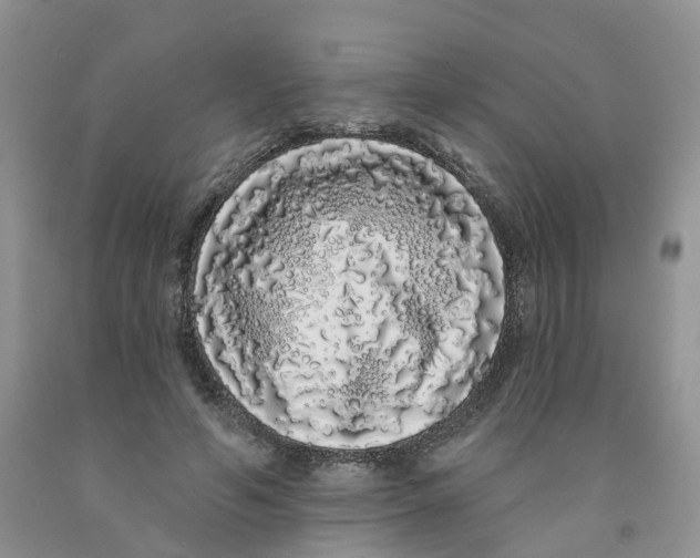 X0000091310594200709071115