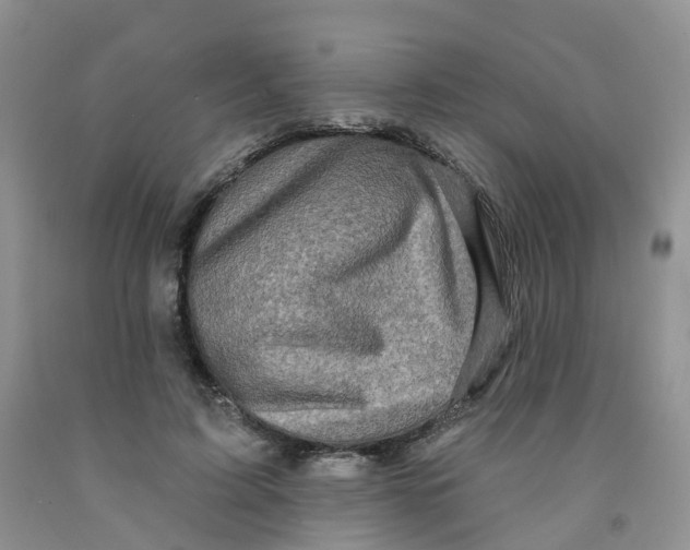 X0000091310595200709071115