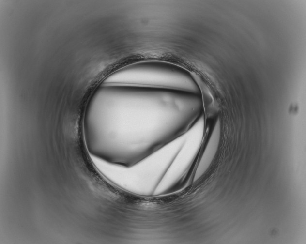 X0000091310596200709071115
