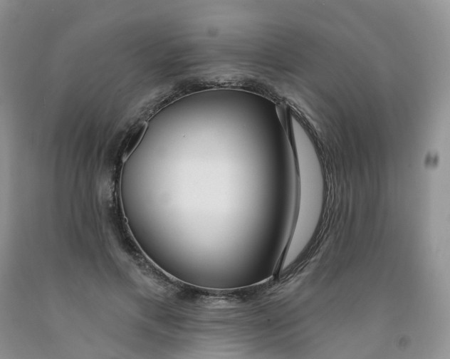 X0000091310597200709071115