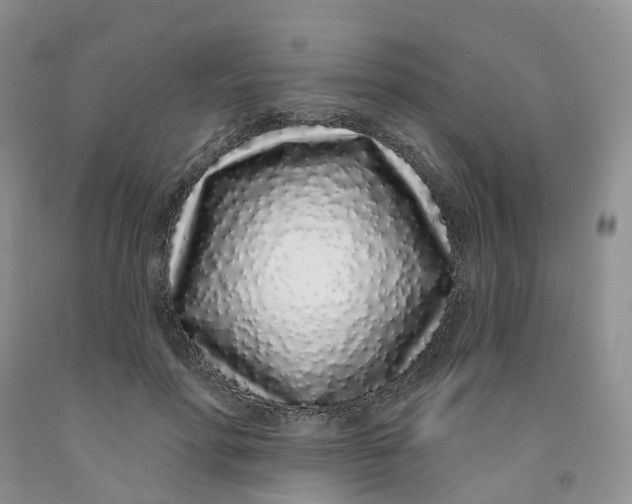 X0000091310598200709071115