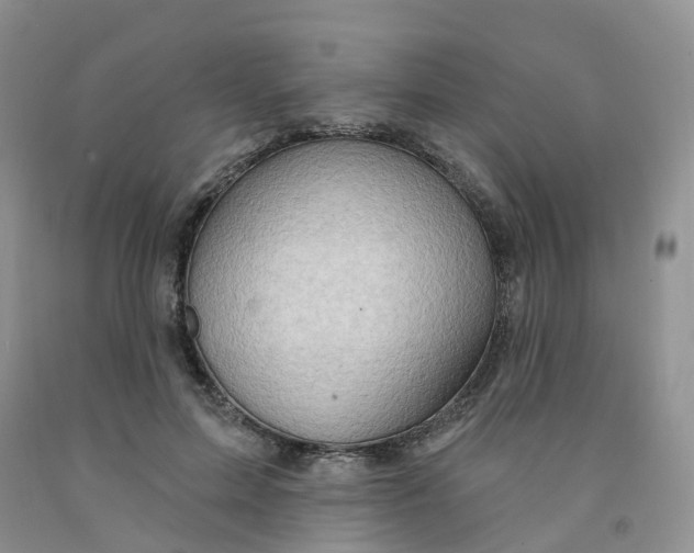 X0000091310599200709071115