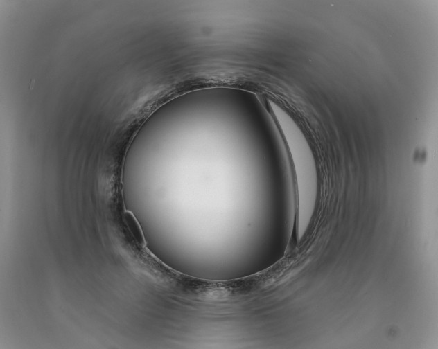X0000091310600200709071115