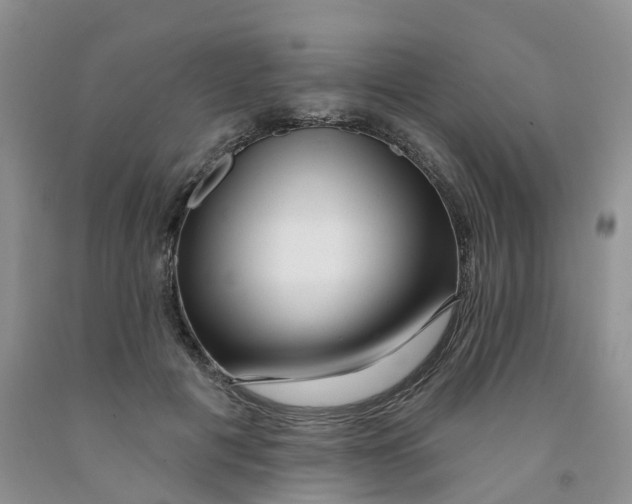 X0000091310601200709071115