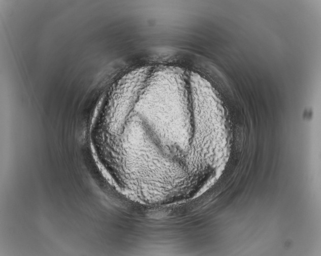 X0000091310602200709071115