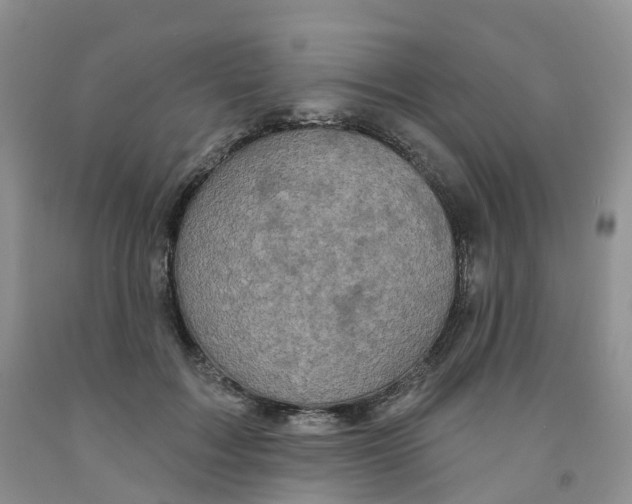 X0000091310603200709071115