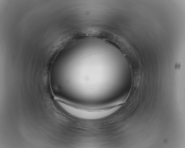 X0000091310604200709071115
