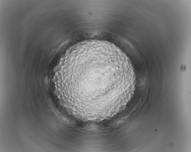 X0000091310607200709071115