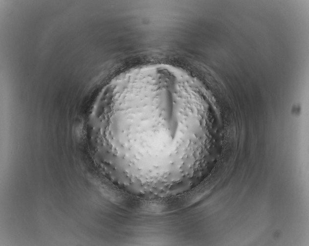 X0000091310610200709071115