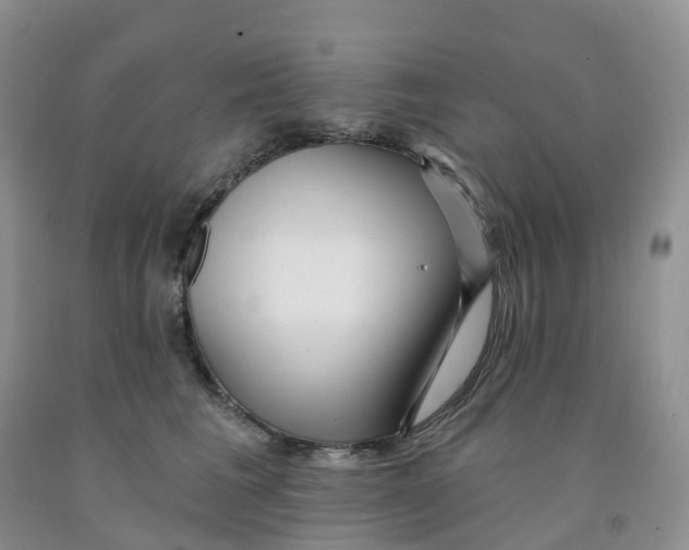 X0000091310613200709071115
