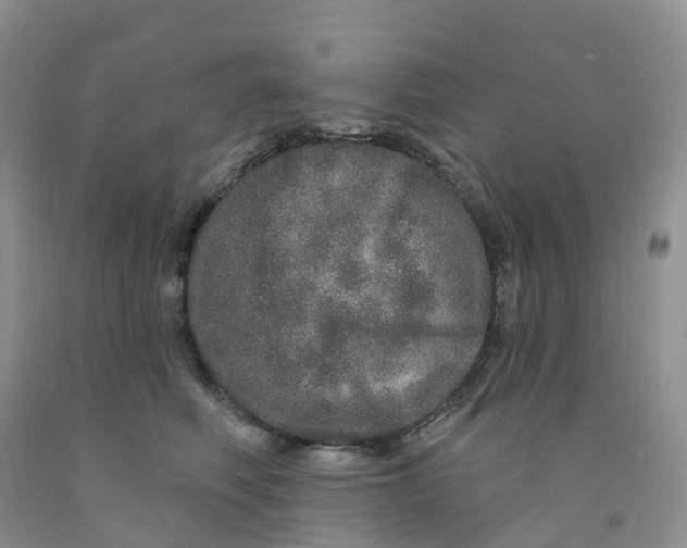 X0000091310614200709071115