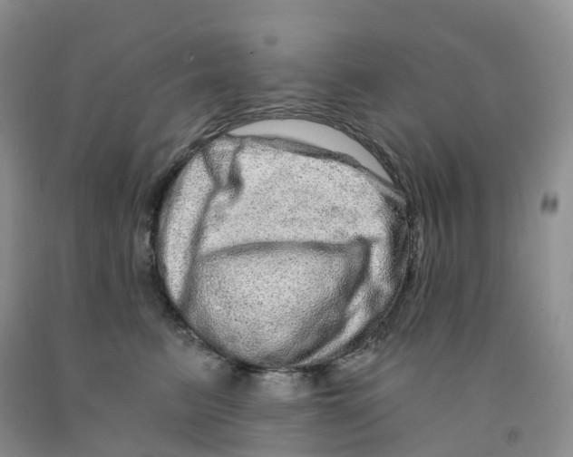 X0000091310615200709071115