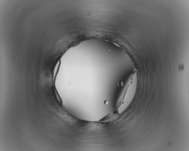 X0000091310617200709071115