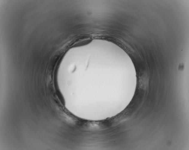X0000091310618200709071115