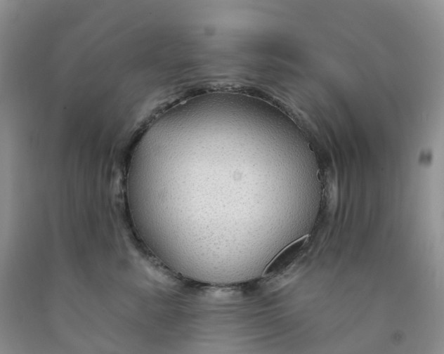 X0000091310619200709071115