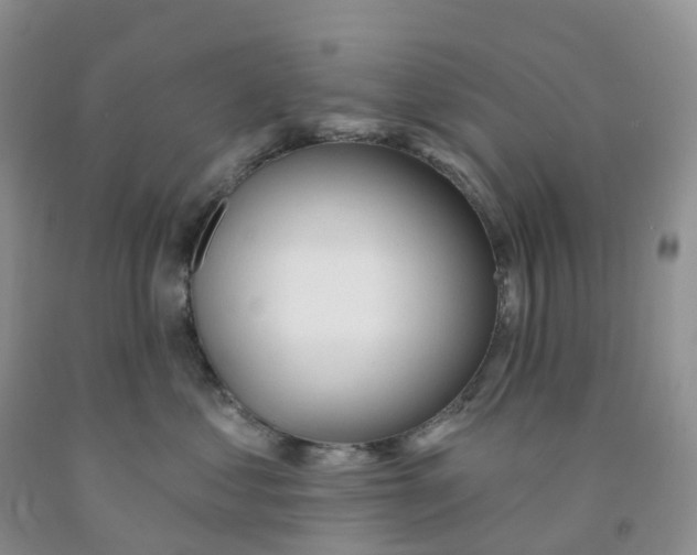X0000091310621200709071115