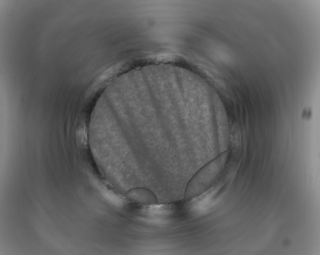 X0000091310622200709071115