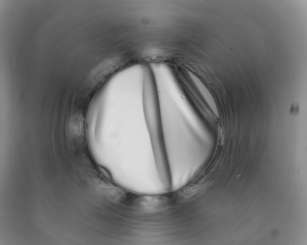X0000091310623200709071115