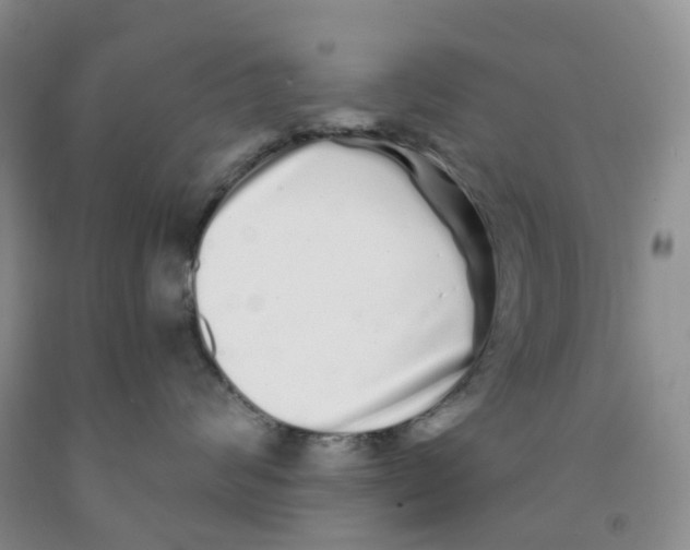 X0000091310624200709071115