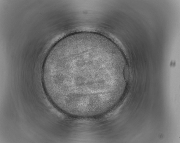 X0000091310625200709071114