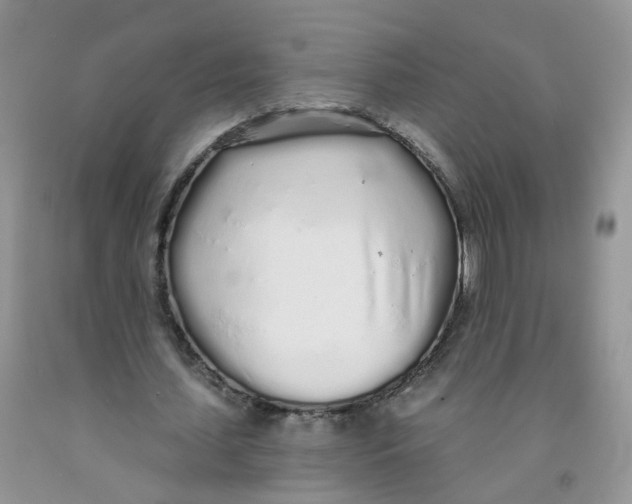 X0000091310627200709071114