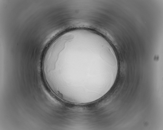 X0000091310629200709071114