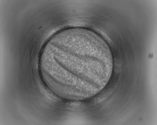 X0000091310631200709071114