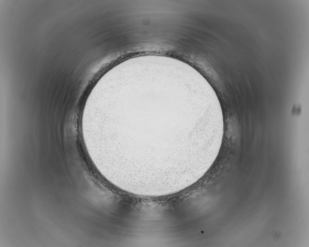 X0000091310632200709071114