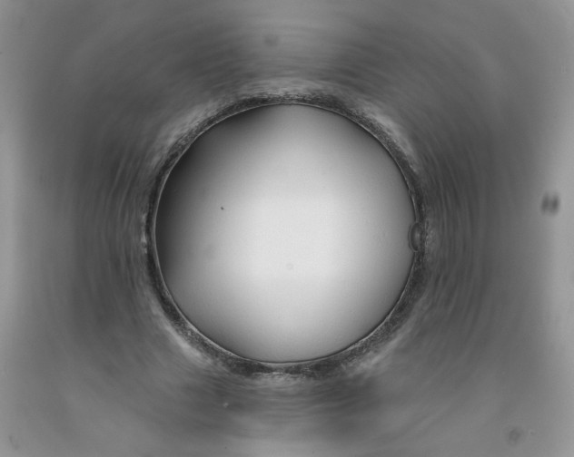 X0000091310633200709071114