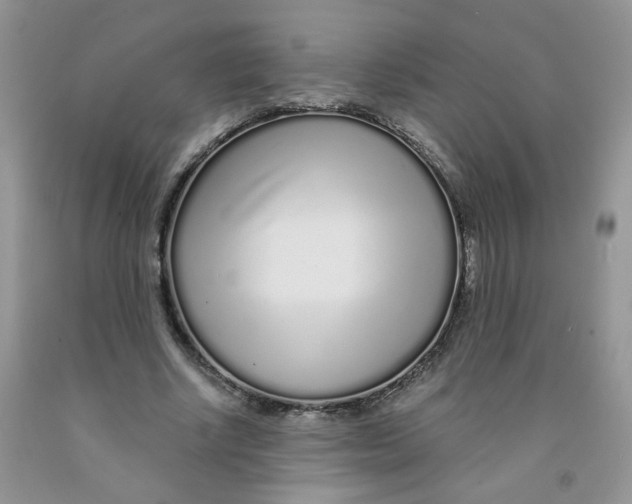 X0000091310634200709071114