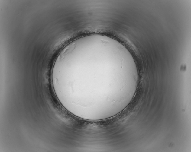 X0000091310635200709071114
