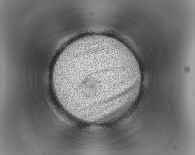 X0000091310636200709071114