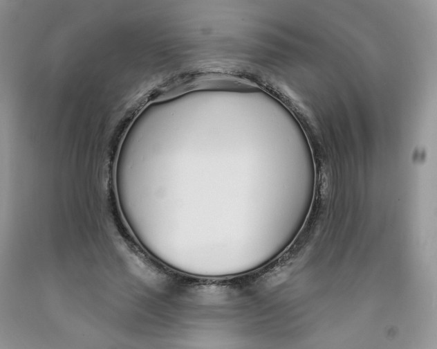 X0000091310637200709071114