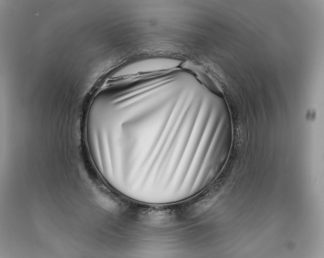X0000091310638200709071114