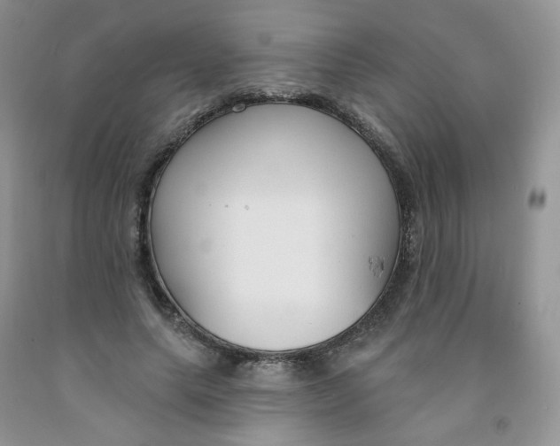 X0000091310639200709071114