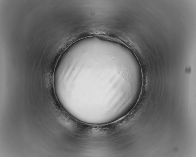 X0000091310641200709071115
